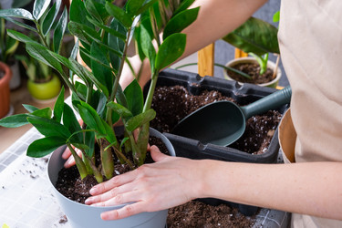 Similar image 21468533