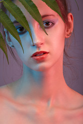 Similar image 21475837