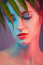 Similar image 21475849