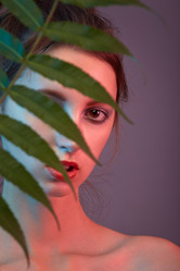 Similar image 21475855