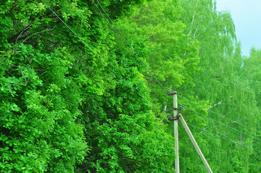 Similar image 21468408