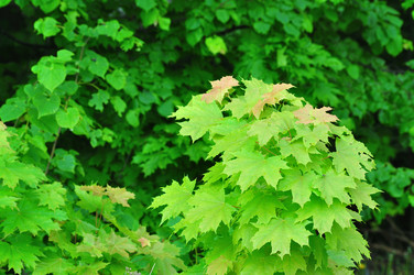 Similar image 21468409