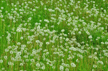 Similar image 21468410