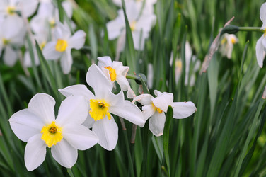 Similar image 21468411