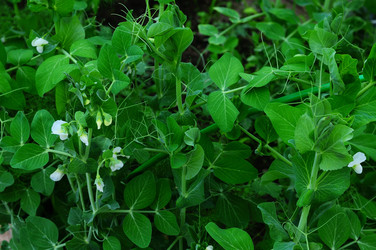 Similar image 21468413