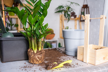 Similar image 21468536