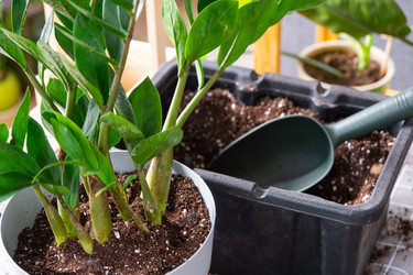 Similar image 21468539