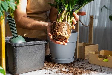 Similar image 21468540