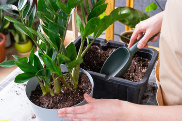 Similar image 21468543