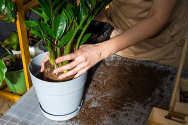 Similar image 21468544