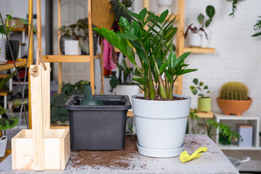 Similar image 21468545