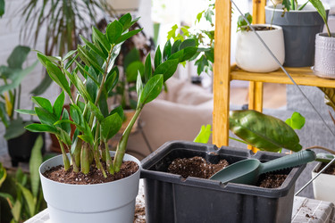 Similar image 21468551