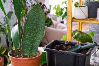 Similar image 21468553