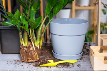 Similar image 21468556