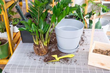 Similar image 21468562