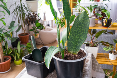 Similar image 21468567