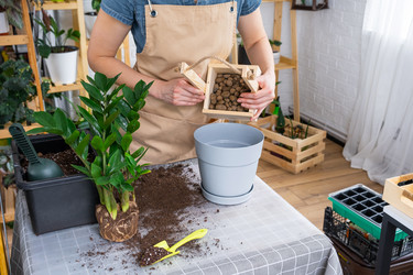 Similar image 21468572