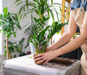 Similar image 21468574