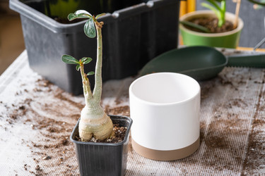 Similar image 21468577