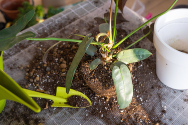 Similar image 21468579