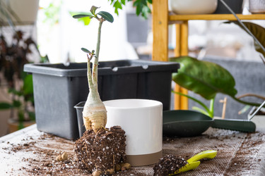 Similar image 21468582