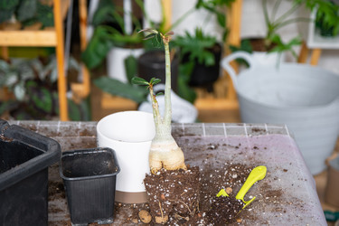 Similar image 21468584