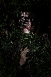 Similar image 21474111