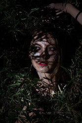 Similar image 21474570