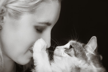 Similar image 21475161