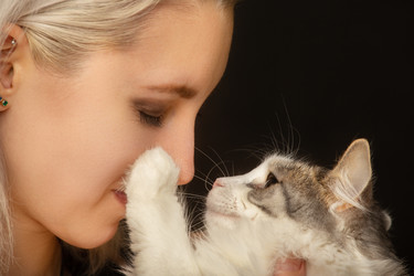 Similar image 21475165