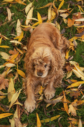 Similar image 21475178