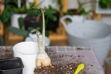 Similar image 21479661