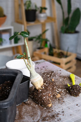 Similar image 21479664