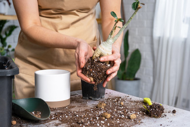 Similar image 21479670