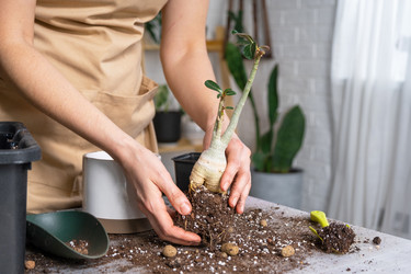 Similar image 21479673