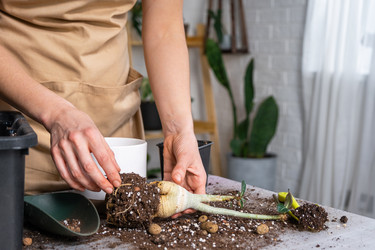 Similar image 21479674