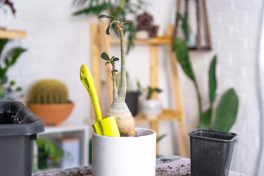 Similar image 21479675