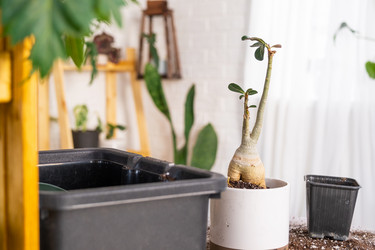 Similar image 21479676