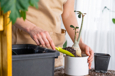 Similar image 21479677