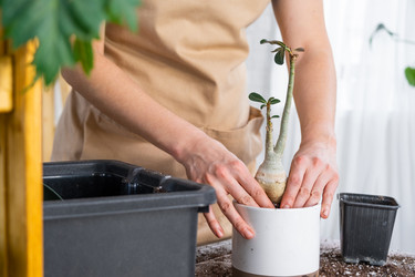 Similar image 21479680