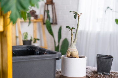 Similar image 21479683