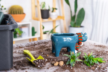 Similar image 21479685