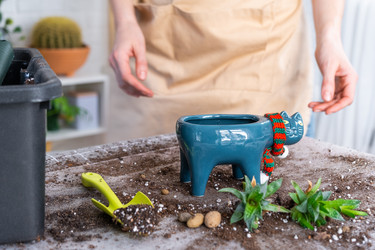 Similar image 21479687