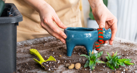 Similar image 21479688