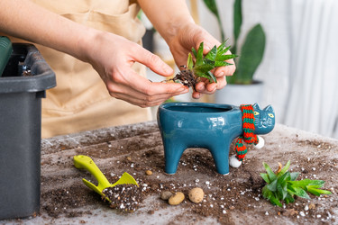 Similar image 21479689