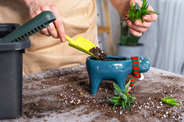 Similar image 21479690