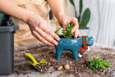 Similar image 21479691