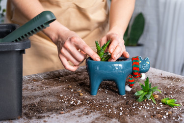 Similar image 21479692