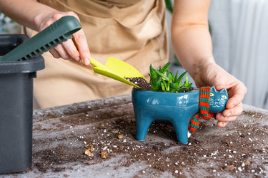 Similar image 21479695