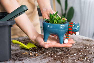 Similar image 21479696